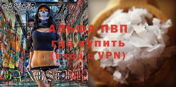 гидра Майский