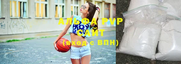 гидра Майский
